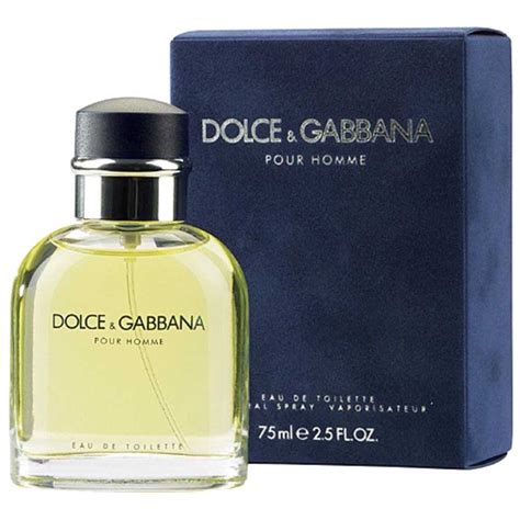 dolce gabbana homme 2016|dolce gabbana pour homme vintage.